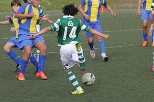 中国足球亚冠：上海申花逆转晋级，燃爆现场热潮，亚冠小组赛上海申花