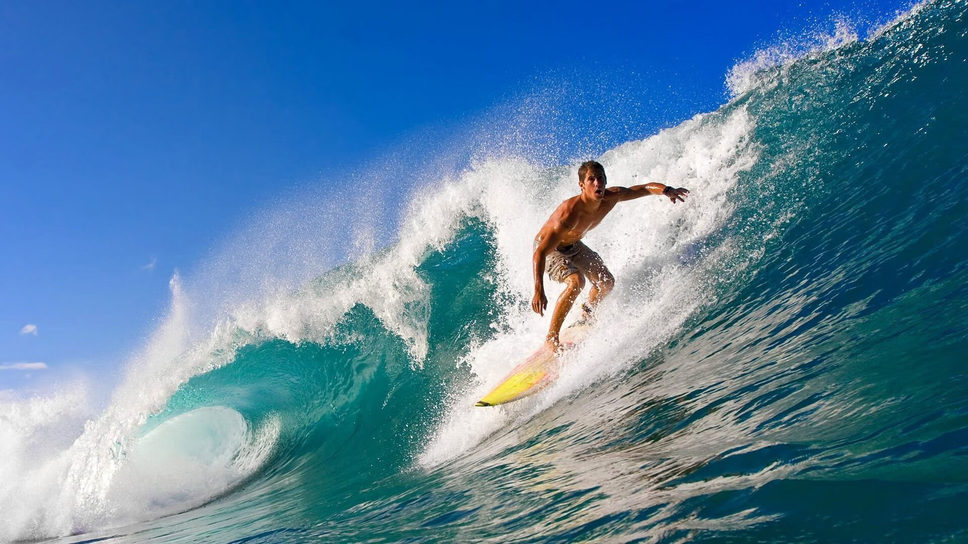 体育经纪公司对中国篮球生态的影响，体育经纪公司是做什么的